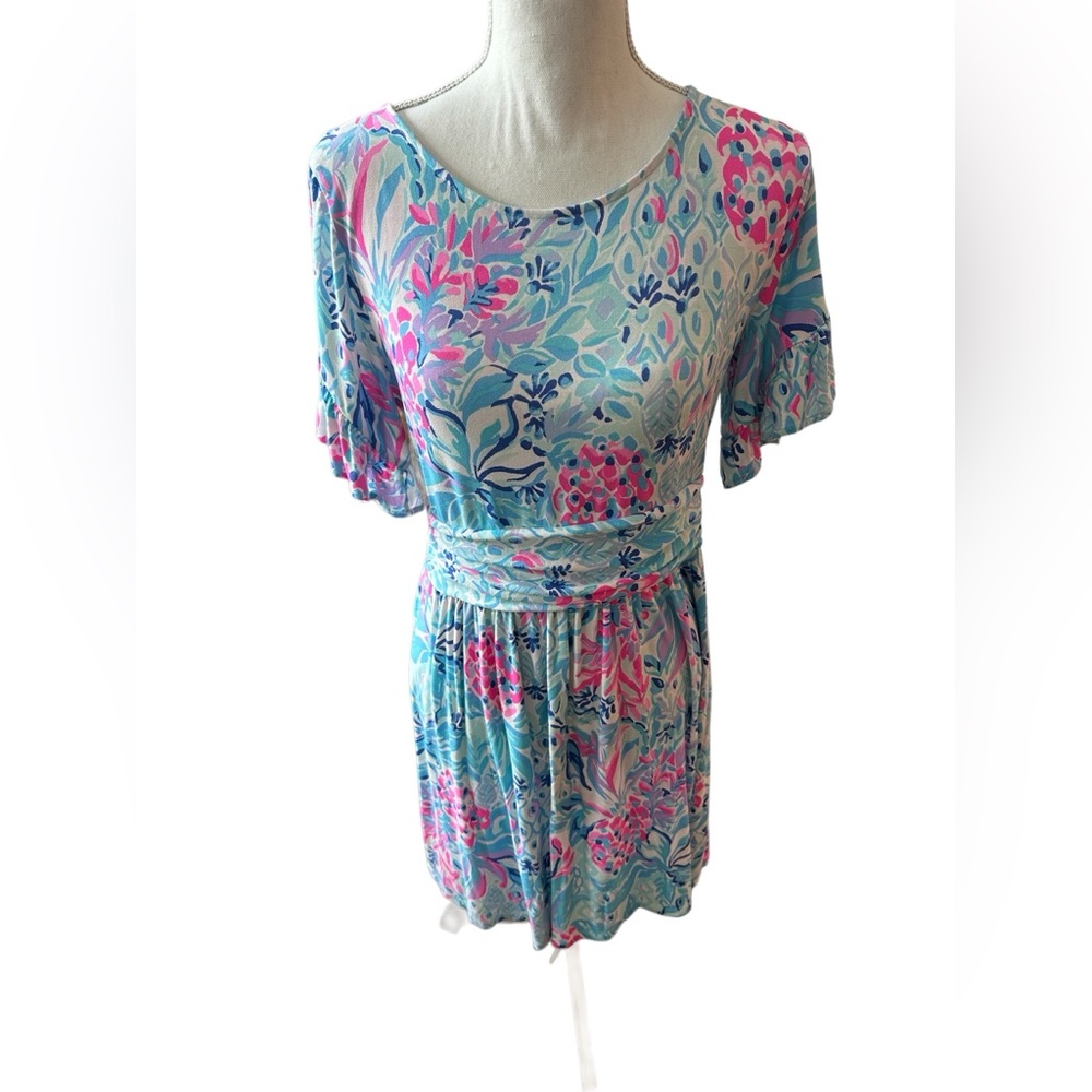 Lily Pulitzer Riegan Ruffle dress size Large